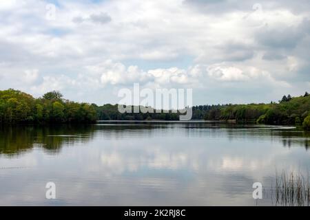 Virginia Water Lake in Windsor Great Park, Großbritannien Stockfoto