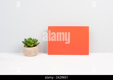 Kaktus in einem Topf auf rotem Hintergrund, minimalistische Dekoration, Pflanzen am Schreibtisch, Platz für Text, modernes Zuhause Stockfoto