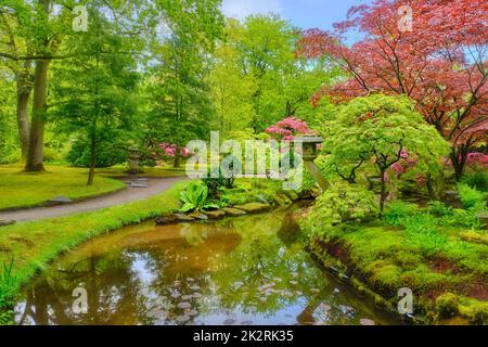 Japanischer Garten, Park Clingendael, Den Haag, Niederlande Stockfoto