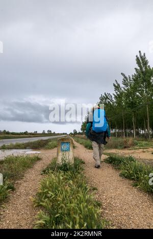 Camino Way Marker, Revenga de Campos, Kastilien und Leon, Spaiin. Von Camino nach Santiago de Compostela Stockfoto