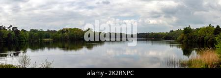 Virginia Water Lake in Windsor Great Park, Großbritannien Stockfoto