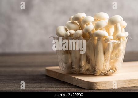 Shimeji, frische weiße Bunapi-Pilze aus Asien in einer Holzschale. Stockfoto