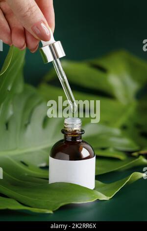 Hand mit einer pipette Flasche auf Monstera-Blatt auf grünem Tisch Nahaufnahme. Mickup Stockfoto