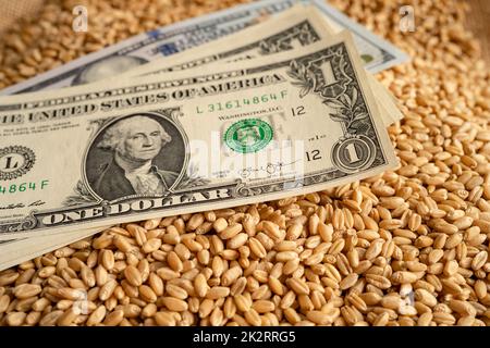 US-Dollar-Banknoten auf Getreideweizen, Global Food Crisis Concept. Stockfoto