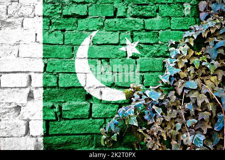 Pakistanische Grunge-Flagge an Ziegelmauern mit Efeu-Pflanze Stockfoto