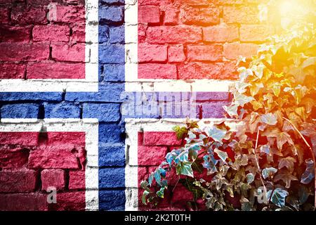 Grunge-Flagge aus Norwegen an der Ziegelwand mit Blick auf die Efeu-Pflanze und den SonnenDunst Stockfoto