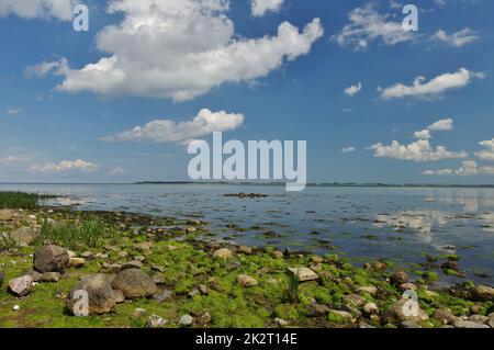 Am natürlichen Strand, Ostsee, Zierow, Bucht von Wismar, Nordwestmecklenburg, Mecklenburg-Vorpommern, Deutschland Stockfoto