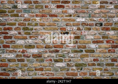Gemauerte Wand Textur Hintergrund Stockfoto