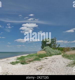 Landschaft zwischen „am schwarzen Busch“ und „Timmendorf Strand“, Insel Poel, Bucht von Wismar, Nordwestmecklenburg, Mecklenburg-Vorpommern, Deutschland Stockfoto