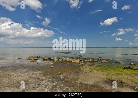 Am natürlichen Strand, Ostsee, Zierow, Bucht von Wismar, Nordwestmecklenburg, Mecklenburg-Vorpommern, Deutschland Stockfoto