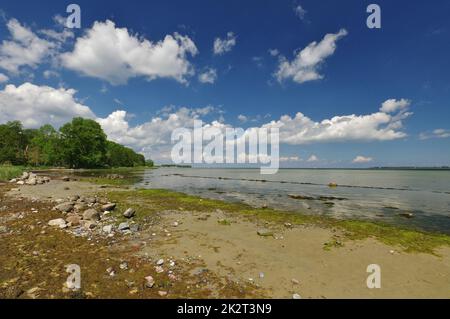 Am natürlichen Strand von Zierow, der Ostsee, der Bucht von Wismar, Nordwestmecklenburg, Mecklenburg-Vorpommern, Deutschland Stockfoto