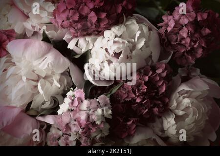Wunderschöne Sommerblumen. Strauß aus rosa Pfingstrosen und William Hintergrund. Stockfoto