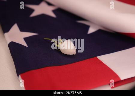 Apfelblütenknospe auf einer gefalteten US-Flagge Stockfoto