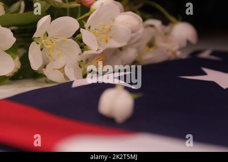 Apfelblüten aus nächster Nähe vor dem Hintergrund der US-Flagge. Das Konzept des Gedenkfeiertags. Stockfoto