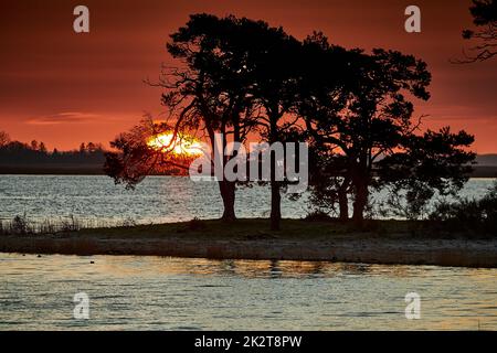 Bäume auf der Insel al littel, während die Sonne aufgeht Stockfoto