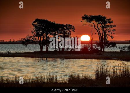 Bäume auf der Insel al littel, während die Sonne aufgeht Stockfoto