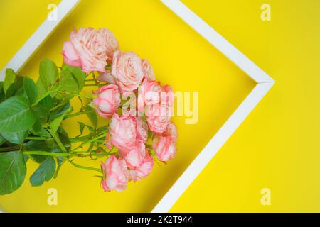 Auf einem hellgelben Hintergrund befindet sich ein weißer Rahmen und ein Strauß rosa Rosen darin Stockfoto