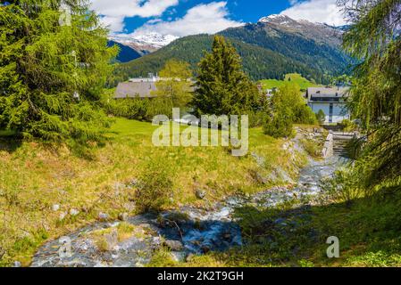 Steinfluss im Wald der Alpen, Davos, Graubuenden, Schweiz. Stockfoto