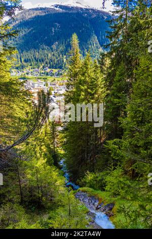 Kleiner Fluss im Alpenwald, Davos, Graubuenden, Schweiz. Stockfoto