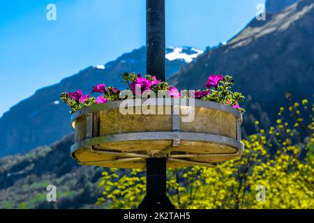 Violette Blumen auf der Säule mit Alpengebirgen im Hintergrund Stockfoto