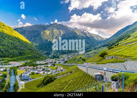 Weinberg in den Schweizer Alpen, Martigny-Combe, Martigny, Walli Stockfoto