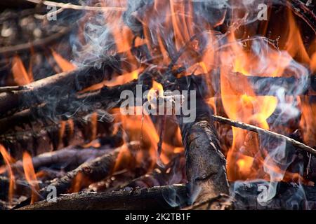 Ein kleines Holzfeuer auf dem Feld Stockfoto