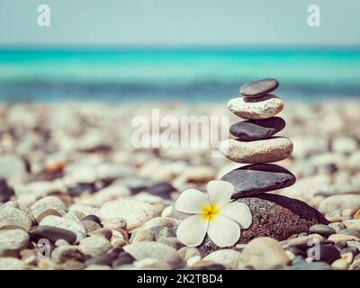 Zen ausgewogen Steinen Stack mit Plumeria Blume Stockfoto