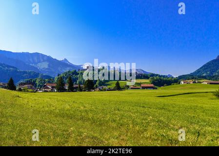 Schloss Gruyeres mit grünen Wiesen, Haut-Intyamon, Gruyere, F Stockfoto