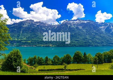 Klar transparent Azure Lake Brienz, Oberried am Brienzersee, Interlaken-Oberhasli, Bern, Schweiz Stockfoto