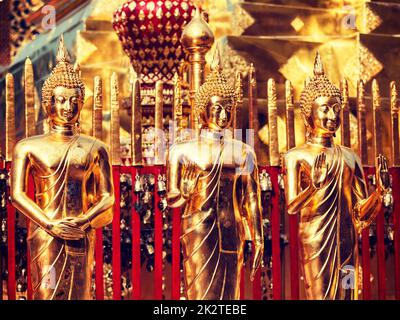 Goldene Buddhastatuen im Wat Phra, die Doi Suthep Stockfoto