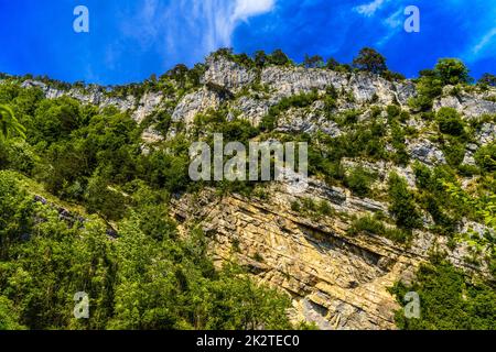 Bäume auf den Klippen, Alpnachstadt, Alpnach, Obwalden, Schweiz Stockfoto