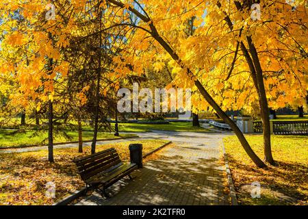 Herbst im park Stockfoto