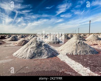 Salzbergwerk an Sambhar See, Rajasthan, Indien Stockfoto