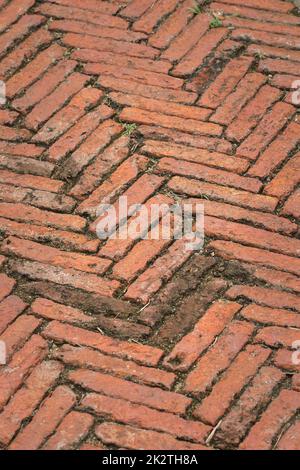 Der Fußgängerweg besteht aus Ziegelsteinen. Stockfoto