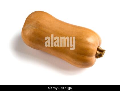 Butternut-Kürbis isoliert auf weißem Hintergrund Stockfoto