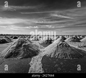 Salzbergwerk an Sambhar See, Rajasthan, Indien Stockfoto