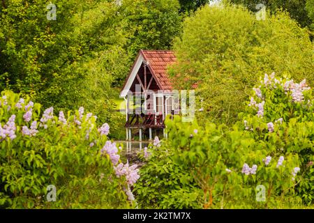 Blick auf die rote Ferienhütte an einem Teich Stockfoto