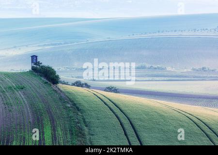 Mährische Landschaft mit Jagd-Turm-Hütte Stockfoto