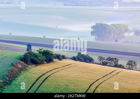 Mährische Landschaft mit Jagd-Turm-Hütte Stockfoto