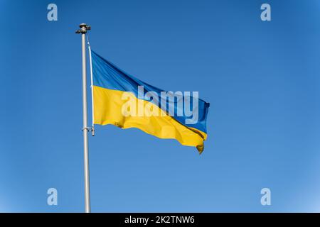 Die blau-gelbe ukrainische Flagge fliegt vor dem Hintergrund eines klaren blauen Himmels Stockfoto