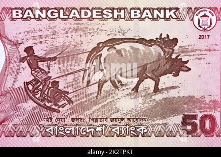 Abbildung - Pflügen eines Feldes aus Bangladesch Stockfoto