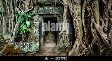Alte steinerne Tür und Baum Wurzeln, Ta Prohm Tempel Stockfoto
