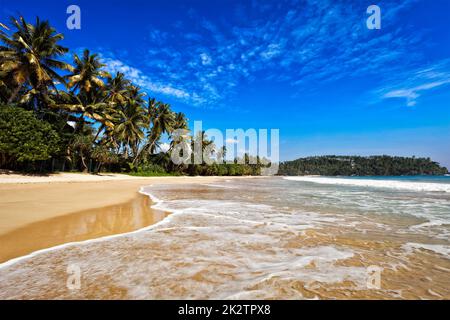 Idyllischen Strand. Sri Lanka Stockfoto