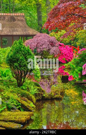 Japanischer Garten, Park Clingendael, Den Haag, Niederlande Stockfoto