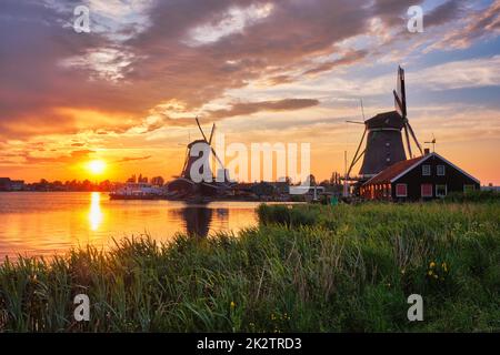 Windmühlen in Zaanse Schans in Holland auf den Sonnenuntergang. Zaandam, Niederlande Stockfoto