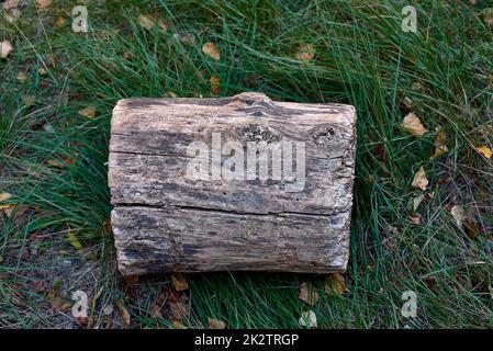 Ein Holzstamm auf dem Gras. Stockfoto