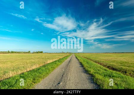 Schotterstraße durch Wiesen und blauen Himmel Stockfoto