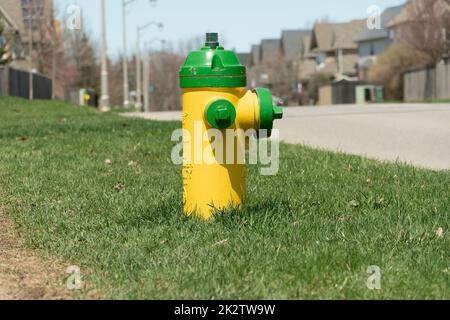 Gelber Feuerhydrant auf Gras am Straßenrand einer Straße Stockfoto