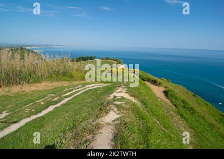 San Bartolo Regionalpark Region Marken - Ginster Bäume und transparentes grünes Meerwasser. Stockfoto