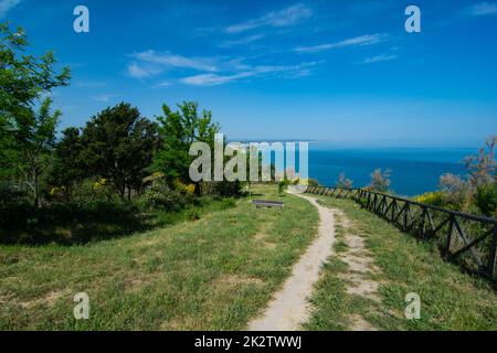 San Bartolo Regionalpark Region Marken - Ginster Bäume und transparentes grünes Meerwasser. Stockfoto